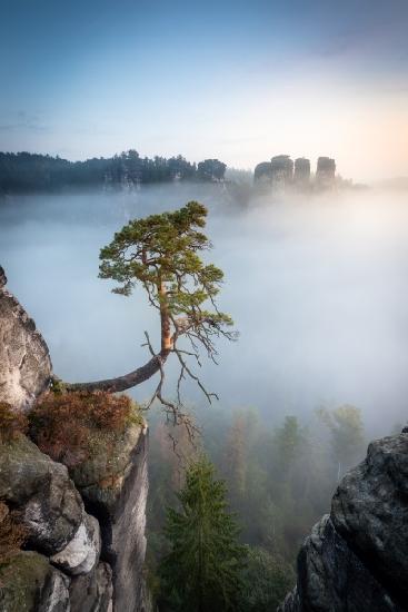 saxon switzerland