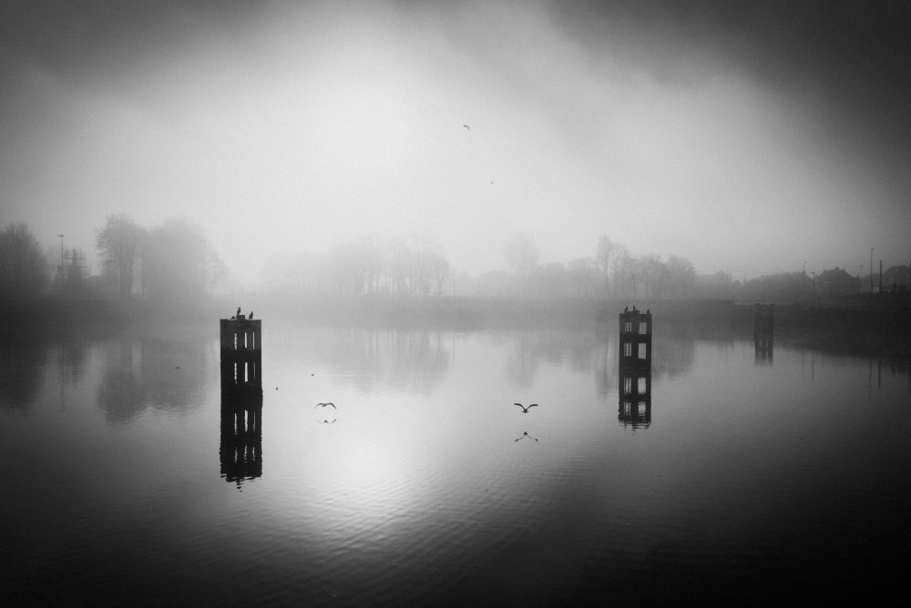 In the misty morning a Christophe Staelens
