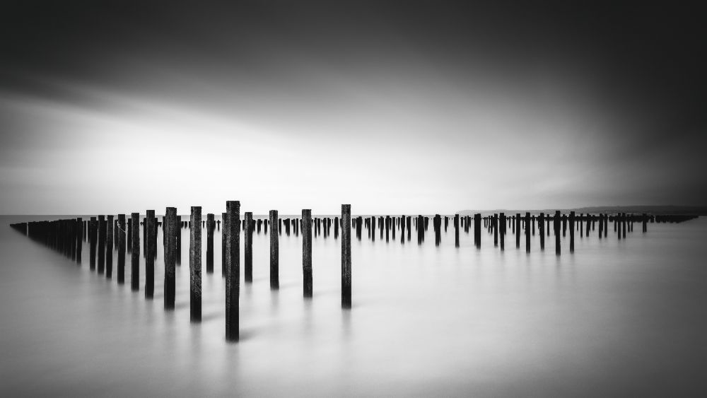 Formation  - Study a Christophe Staelens