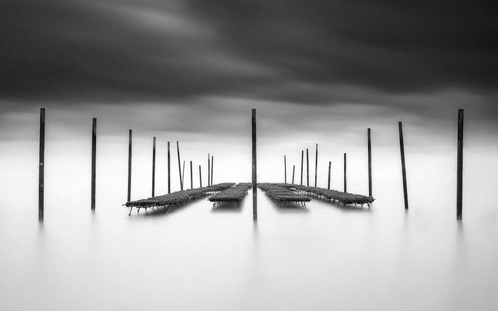 The Oyster Bar a Christophe Staelens