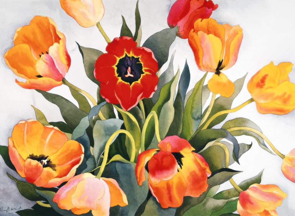 Orange and Red Tulips (w/c)  a Christopher  Ryland