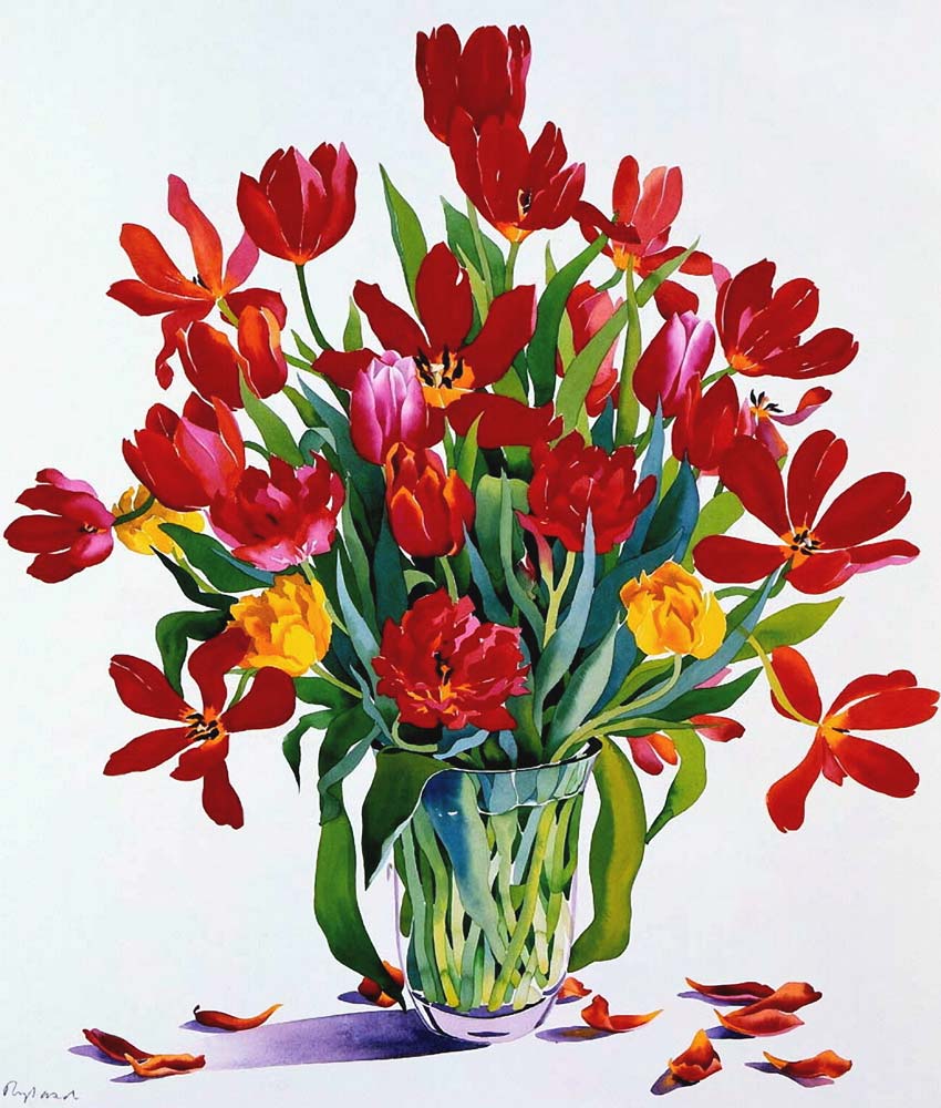 Tulips a Christopher  Ryland