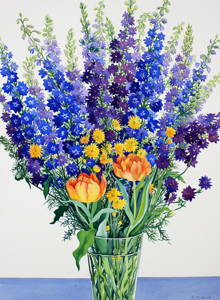 Larkspur and Delphiniums a Christopher  Ryland