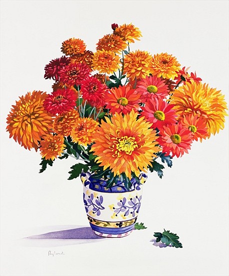 October Chrysanthemums (w/c on paper)  a Christopher  Ryland