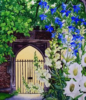 Flowers by a sunlit gateway
