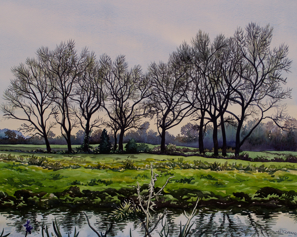 Winter Trees a Christopher  Ryland