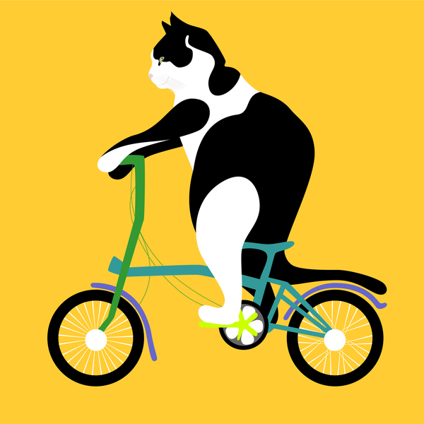 Cat on a Brompton Bike a Claire Huntley