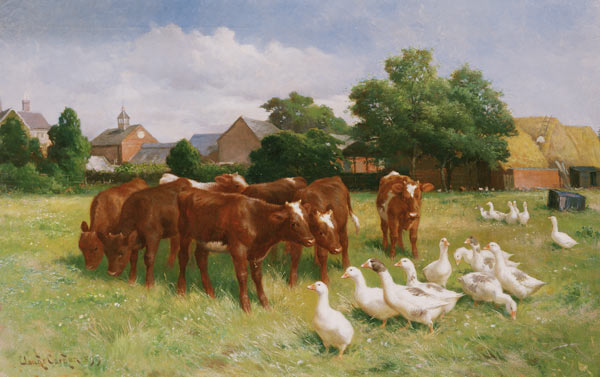 Cows and Ducks a Claude Cardon