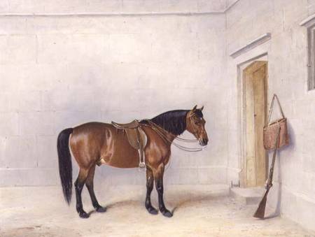 Saddled Bay Shooting Pony a Claude L. Ferneley