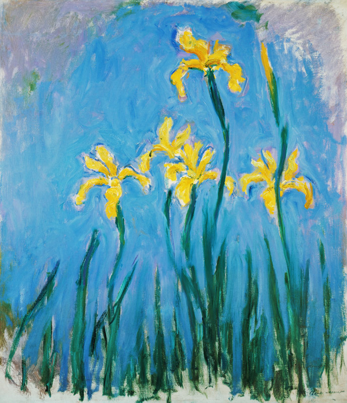 Yellow Iris. a Claude Monet