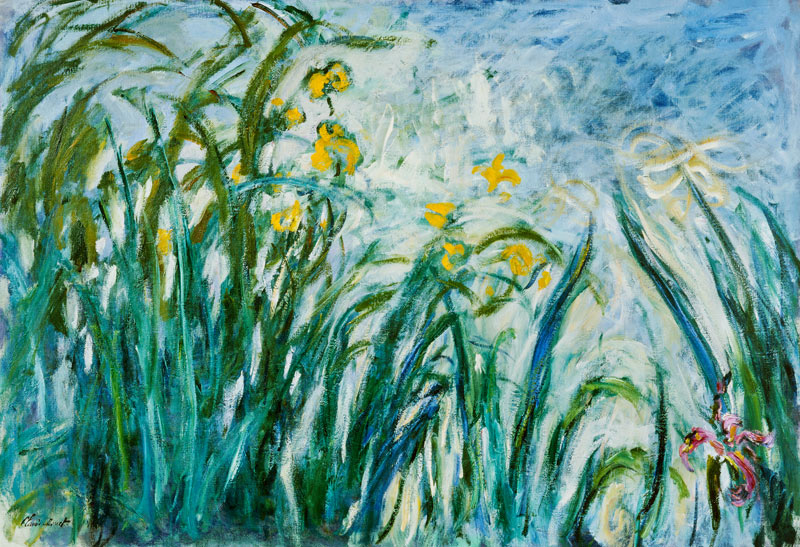 Iridi gialle e color malva a Claude Monet