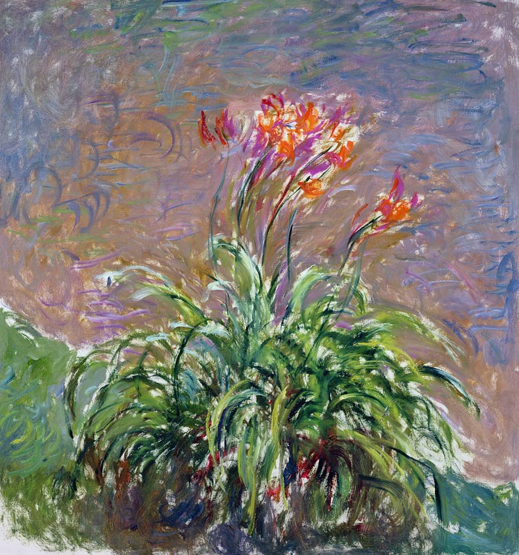 Hemerocallis a Claude Monet