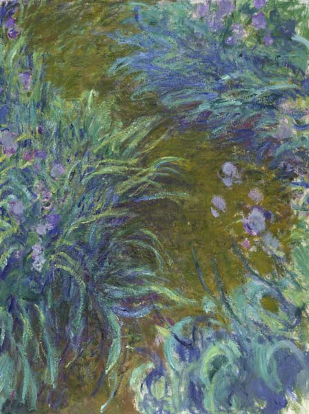Irises a Claude Monet