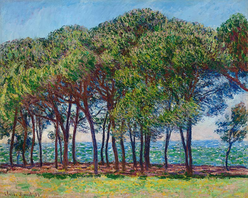 Kiefern am Cap d'Antibes a Claude Monet