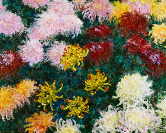 Chrysanthemums a Claude Monet