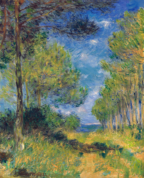 Nadelbäume in Varengeville a Claude Monet