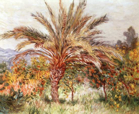 Palm Tree at Bordighera a Claude Monet