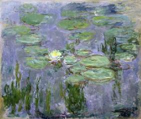 Waterlilies