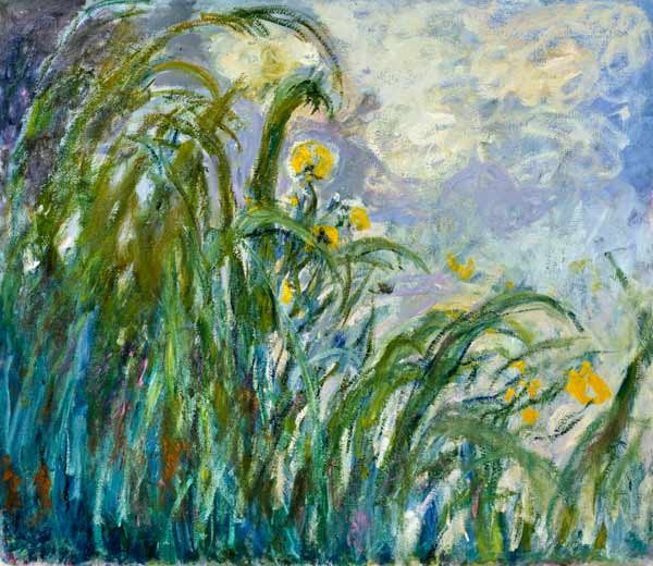 The Yellow Iris a Claude Monet