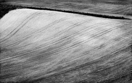 Winter field #3