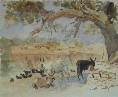 435A Jaisalmer - Gadi Sagar