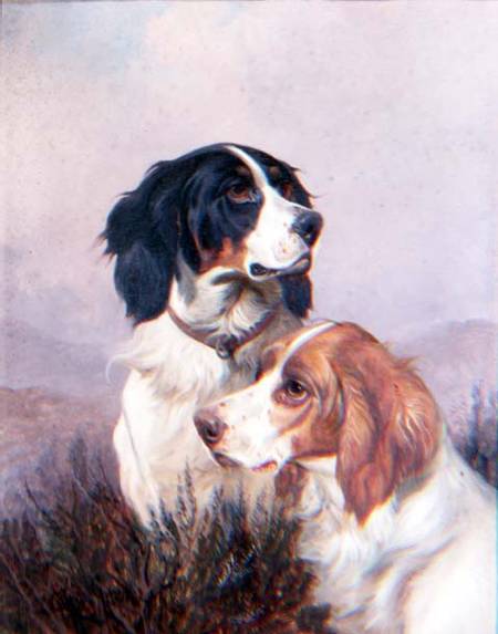 Setters on a Moor a Colin Graeme