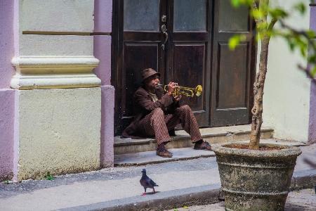 Playing for pigeons