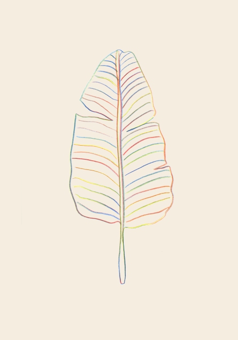 Banana Rainbow Leaf a Graphic Collection