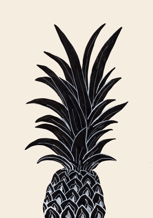 Black Pineapple a Graphic Collection