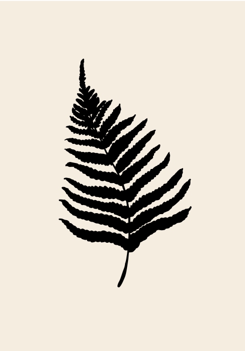 Fern a Graphic Collection