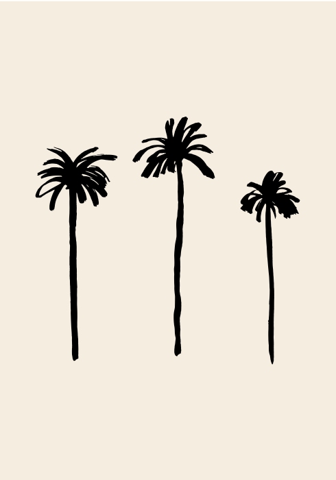 Palm Trees a Graphic Collection