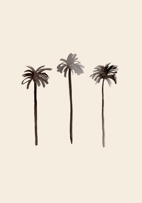 Palm Trees Ink a Graphic Collection
