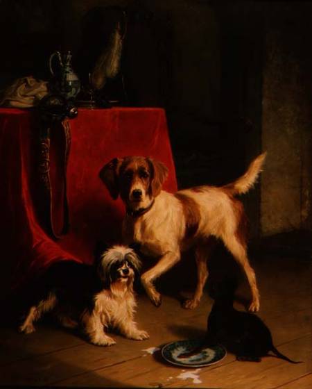 Three dogs a Conradyn Cunaeus