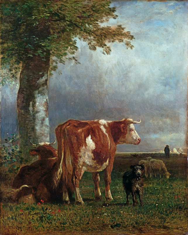 Cows in a meadow a Constant Troyon