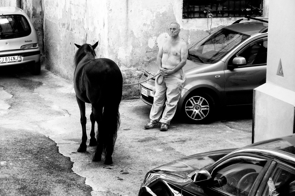 Man with Horse in Palermo Sicily a Constantine Matsos