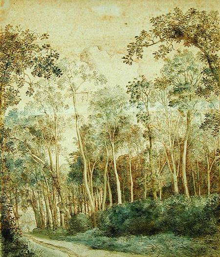 Wooded Landscape (pen and brown ink and w/c on paper) a Cornelis Vroom