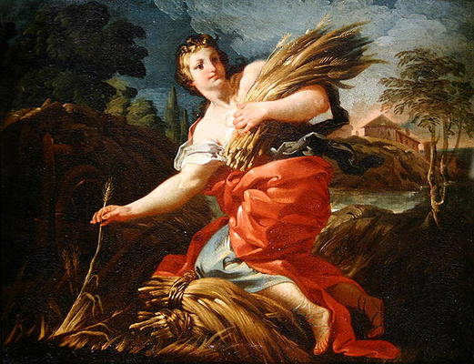 Ruth the Gleaner (oil on canvas) a Corrado Giaquinto