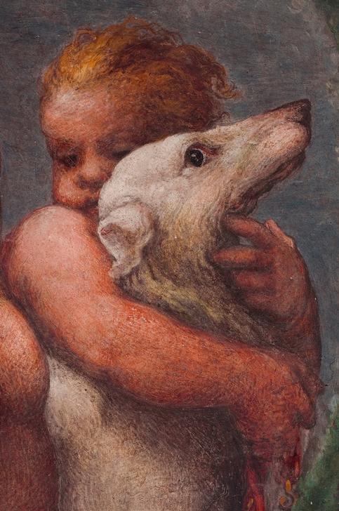 Speisesaal der Äbtissin des Klosters S.Paolo Ausschnitt aus dem Deckenfresko: Putto mit Hund. a Antonio Allegri (detto Correggio)