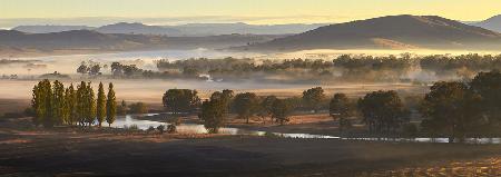 Murray River Dawn