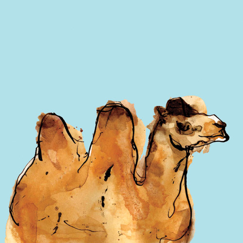 Horizontal Camel a Louise Cunningham