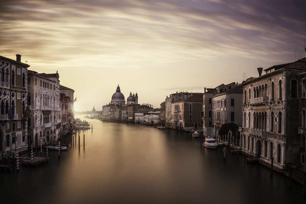 Venice a Dan Muntean