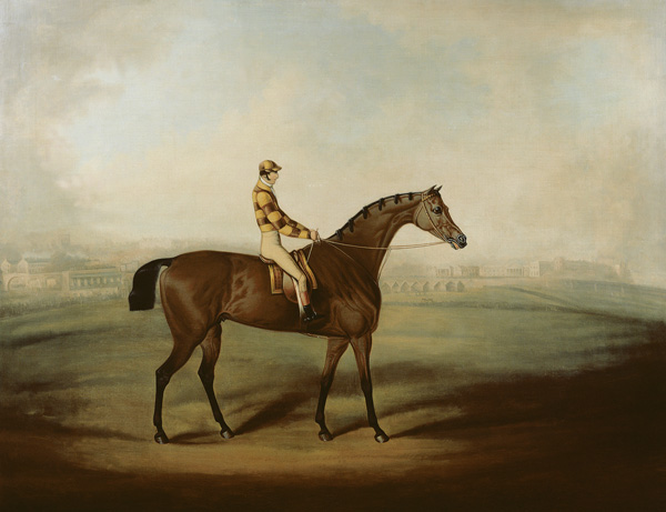 Portrait of Bruitandorf with jockey up and Chester Racecourse Beyond a Daniel Clowes