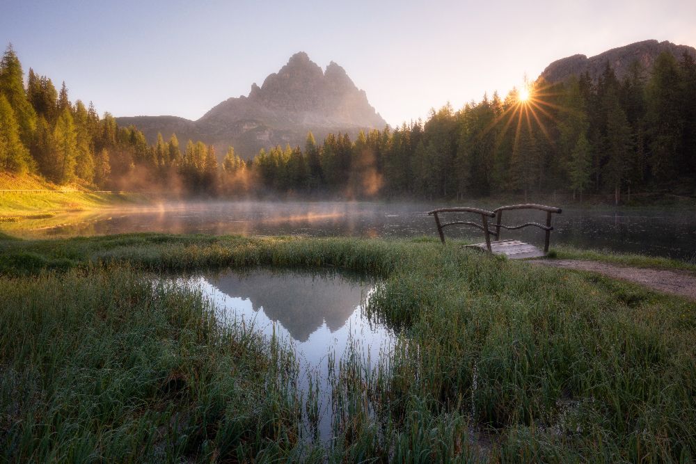 Morning Silence a Daniel Fleischhacker