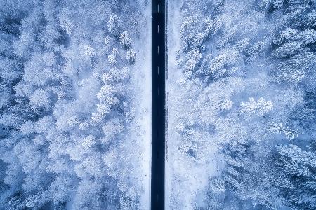 A Frosty Road