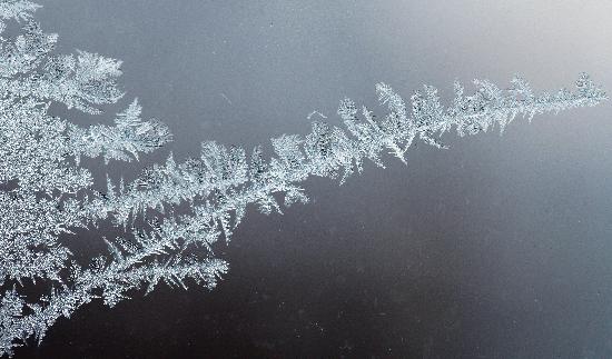 Eisblumen auf Fensterscheibe a Daniel Karmann