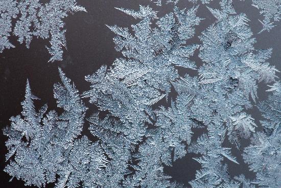 Eisblumen auf Fensterscheibe a Daniel Karmann