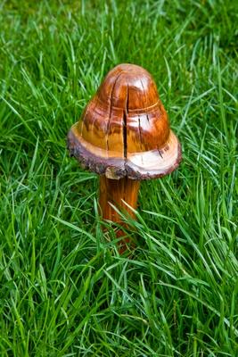 Wooden Mushroom a Dave Frederick