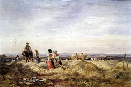 In the Hayfield a David Cox