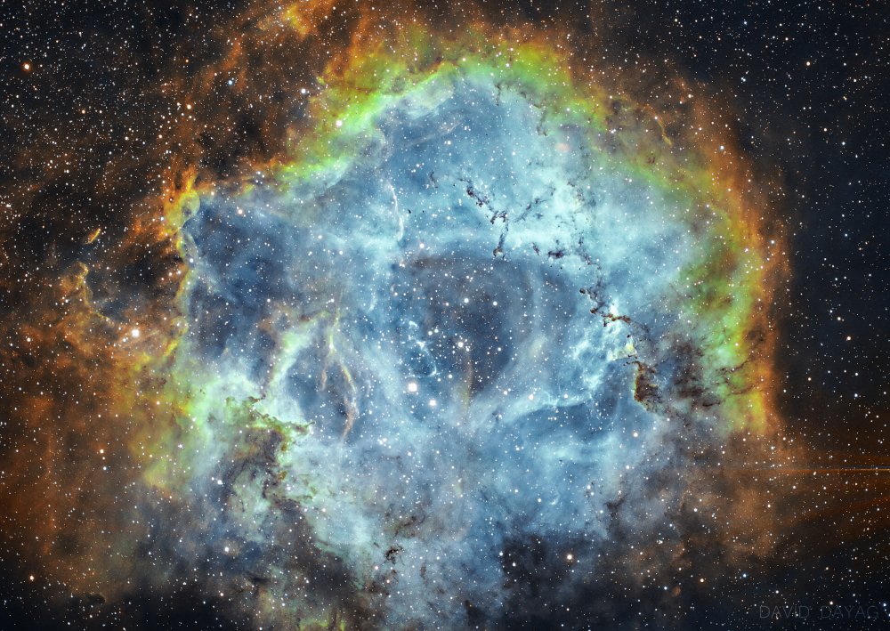 The Rosette Nebula a David Dayag