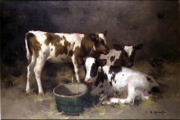 Three Calves (oil on canvas) a David Gauld